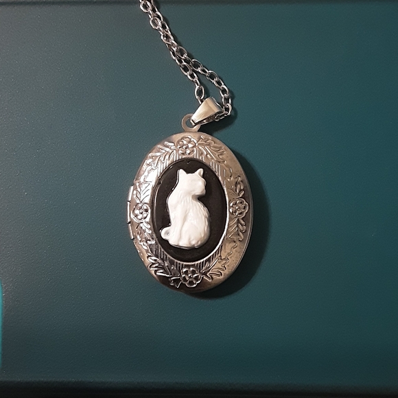 Cameo Cat Necklace Jewelry - New Cat Cameo Faux Locket Necklace